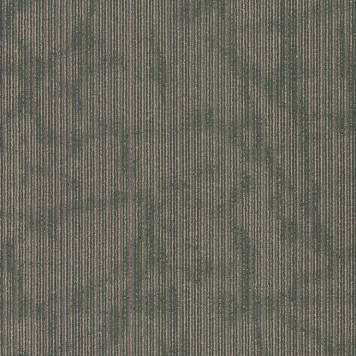 Hipster Code 00300