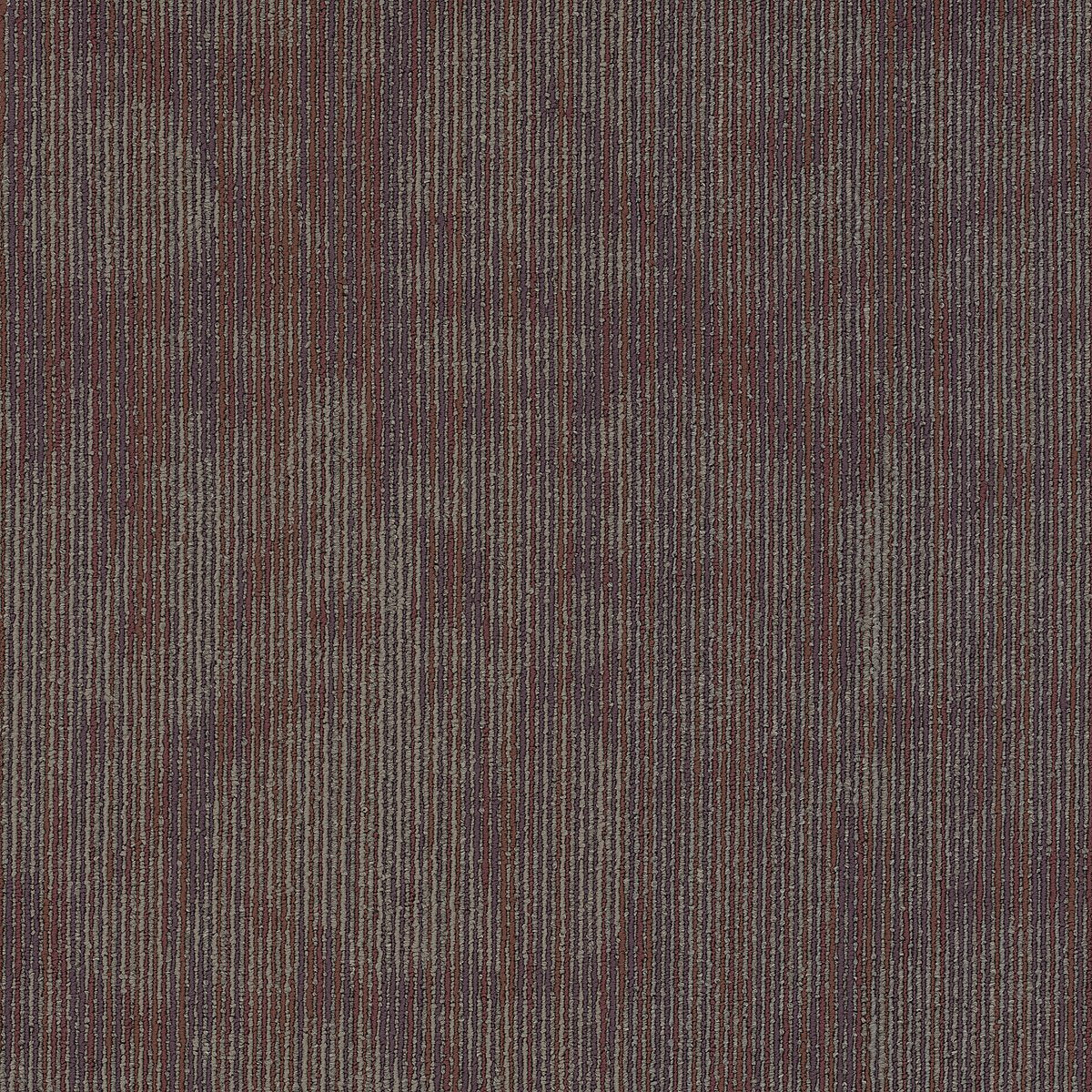 Hipster Piece 00906