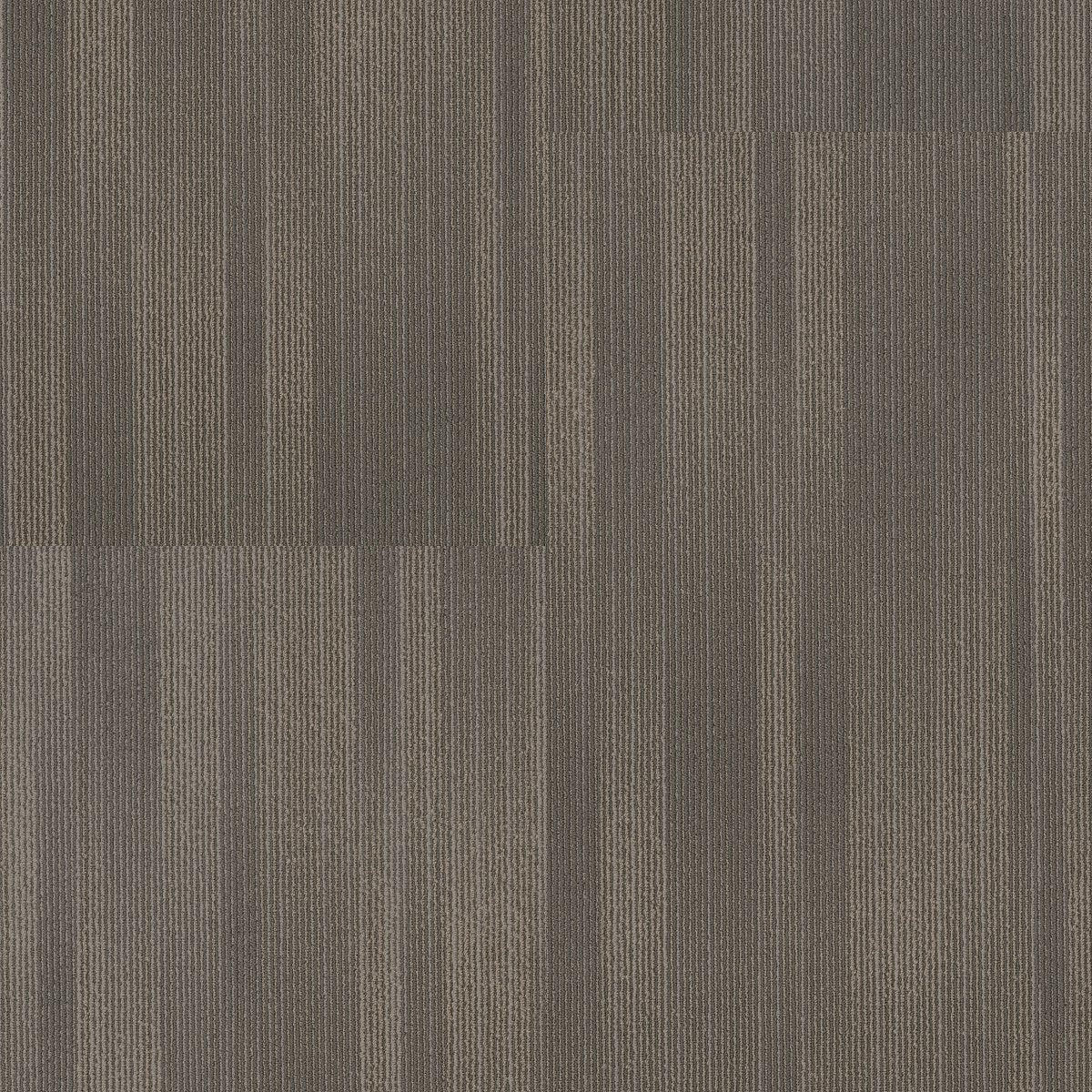 Illuminate Brilliant 00206