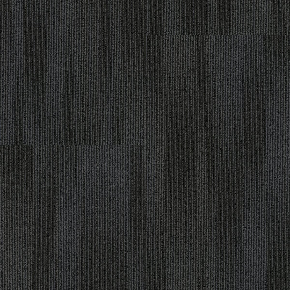 Illuminate Dynamic 00520
