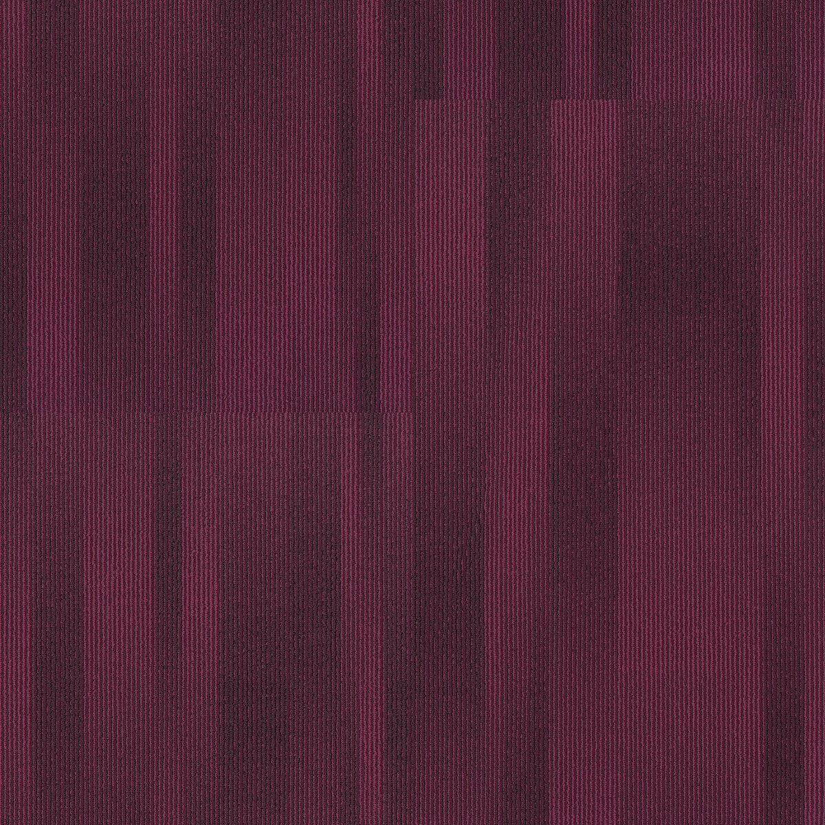 Illuminate Vibrant 00910
