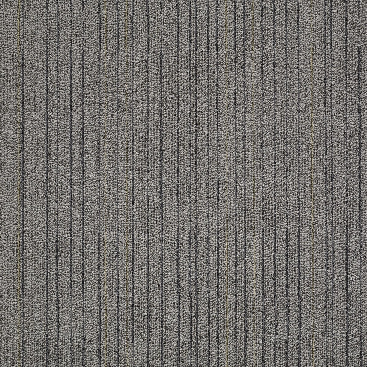 Immerse Contemplate 87505
