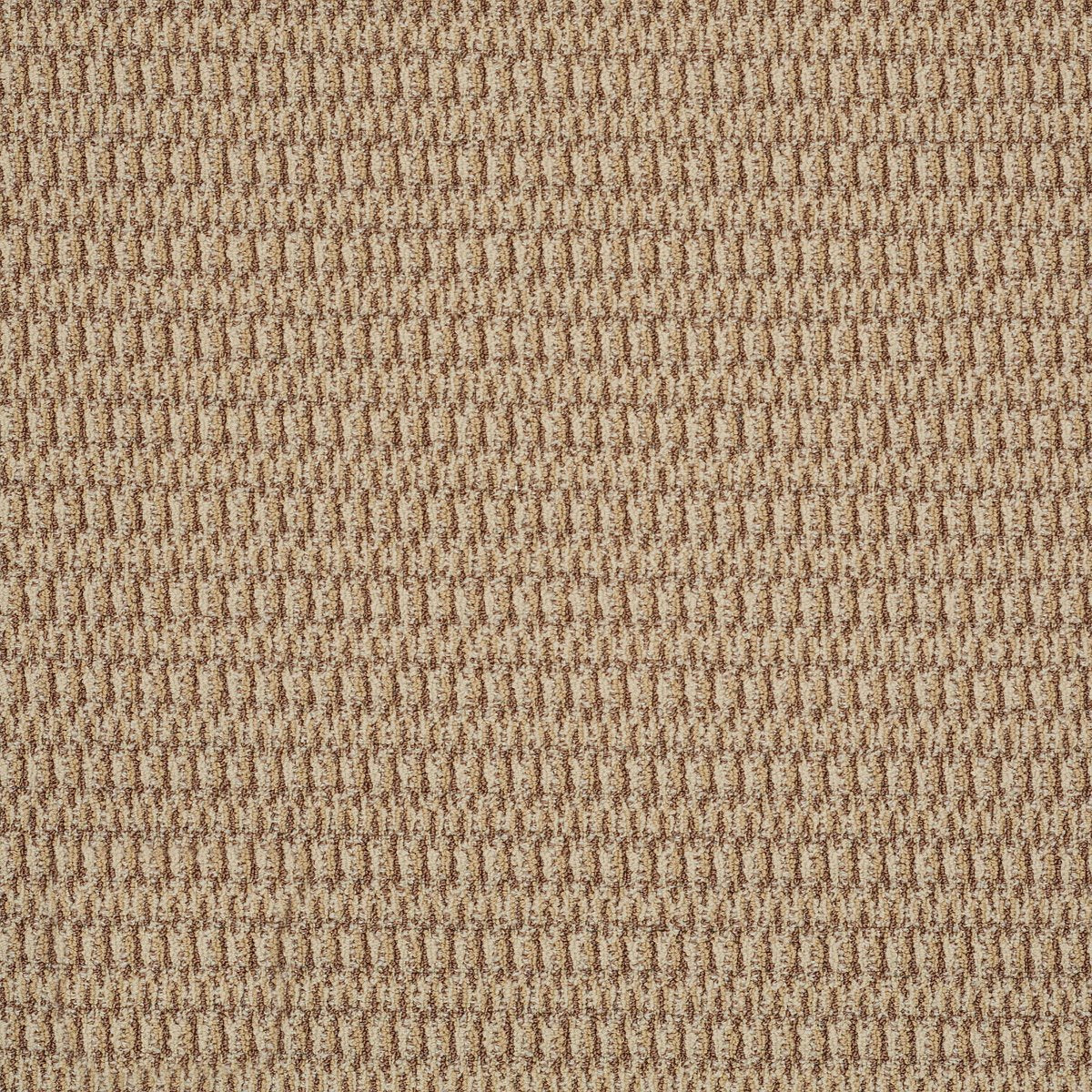 In Harmony Timeless 78205