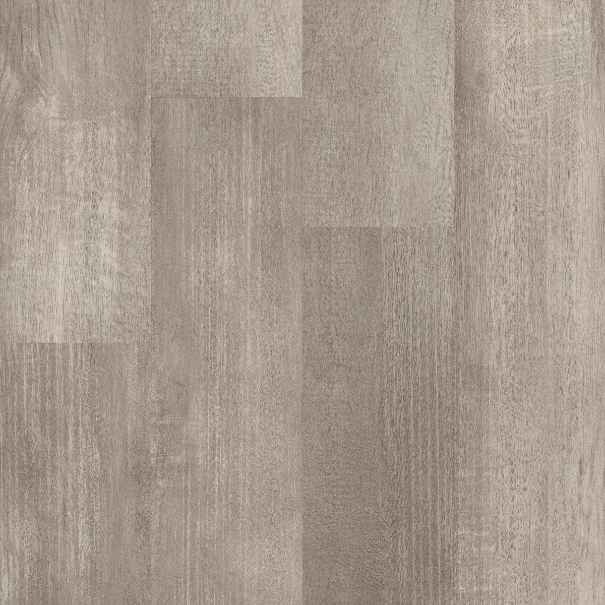 In the Grain II 12 Mil Fir 00174