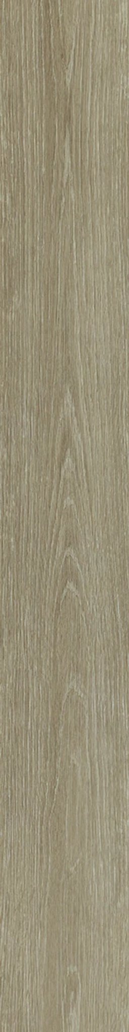 In the Grain II 12 Mil Spelt 00775