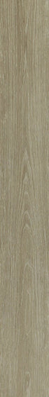 In the Grain II 12 Mil Spelt 00775