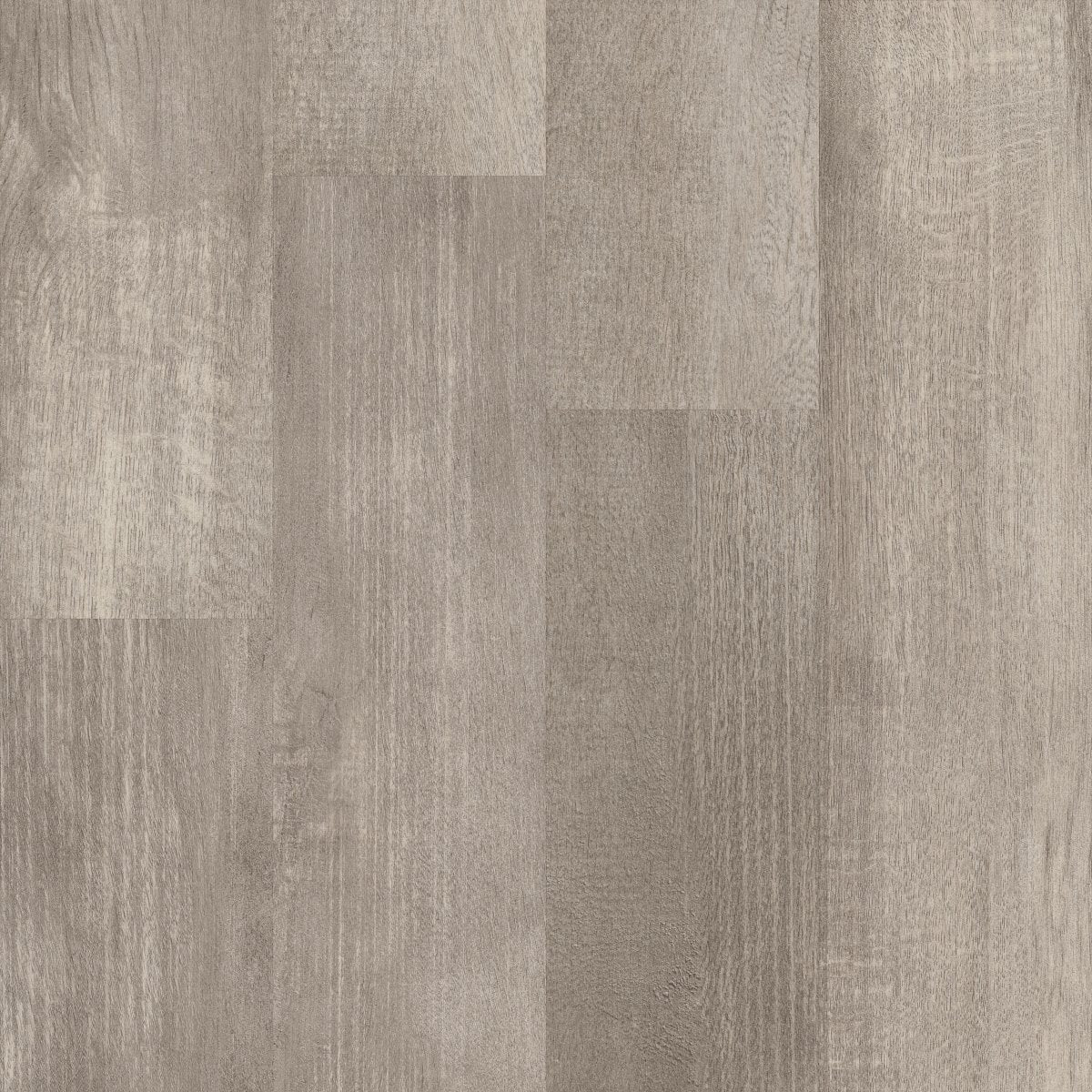 In the Grain II 30 Fir 00174