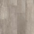 In the Grain II 30 Fir 00174