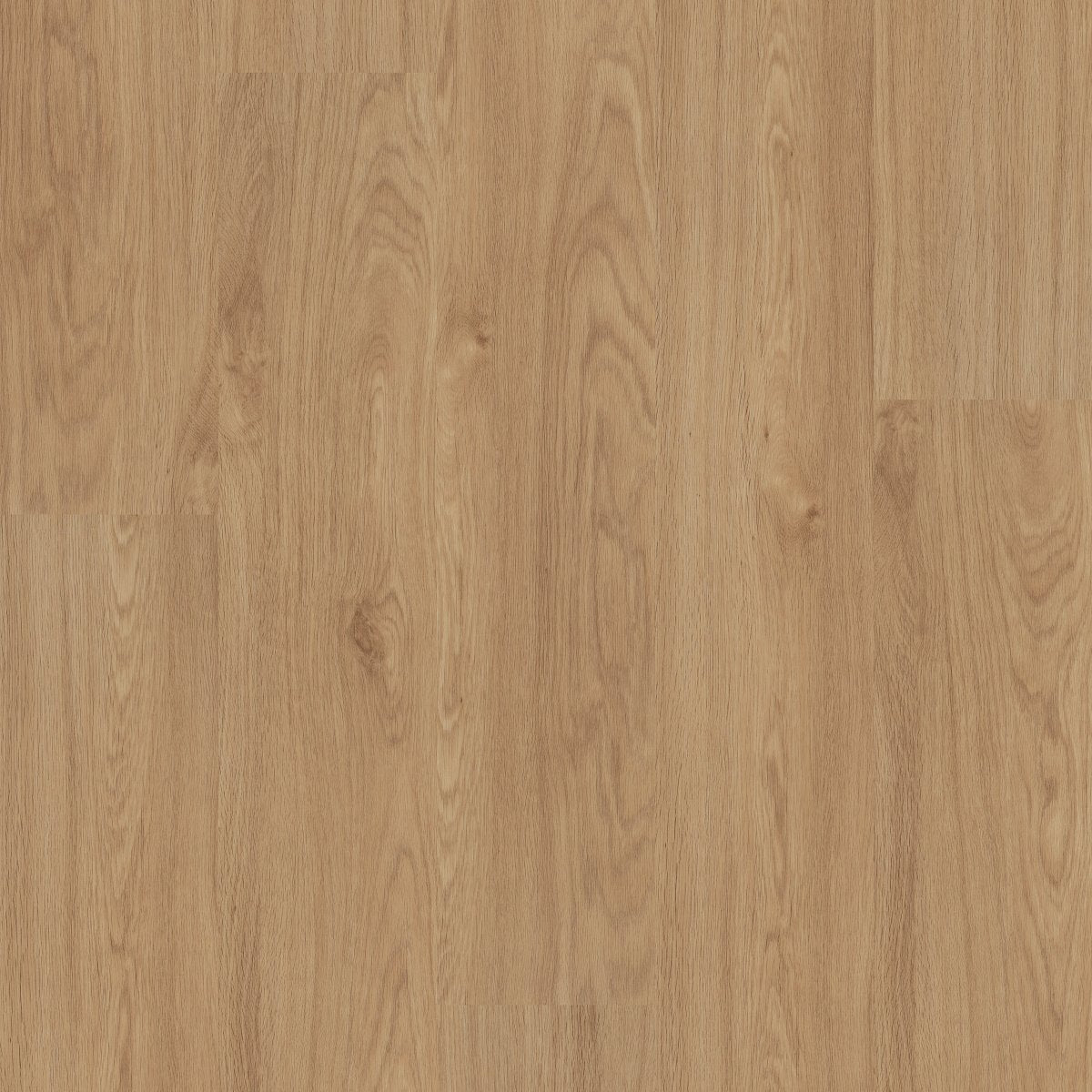 Indwell 12 Honeycomb 06040