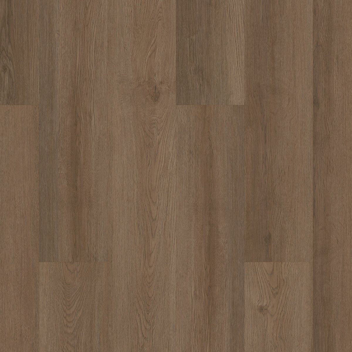 Indwell 12 Texas Bur 00825