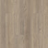 Indwell 12 Willow Oak 02028