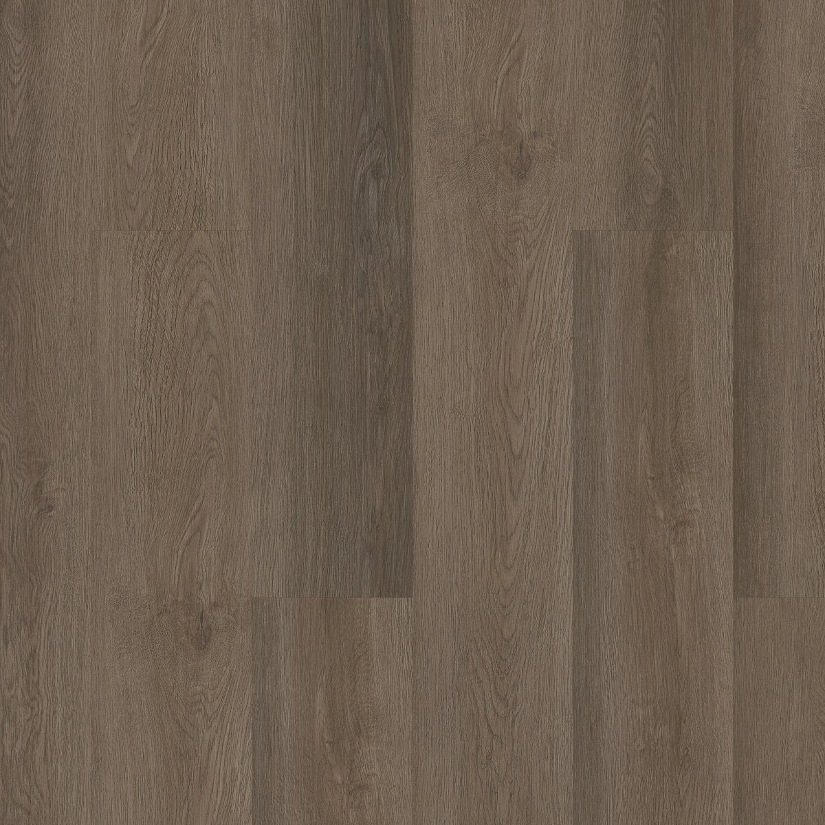 Indwell 20 Seneca Oak 07100