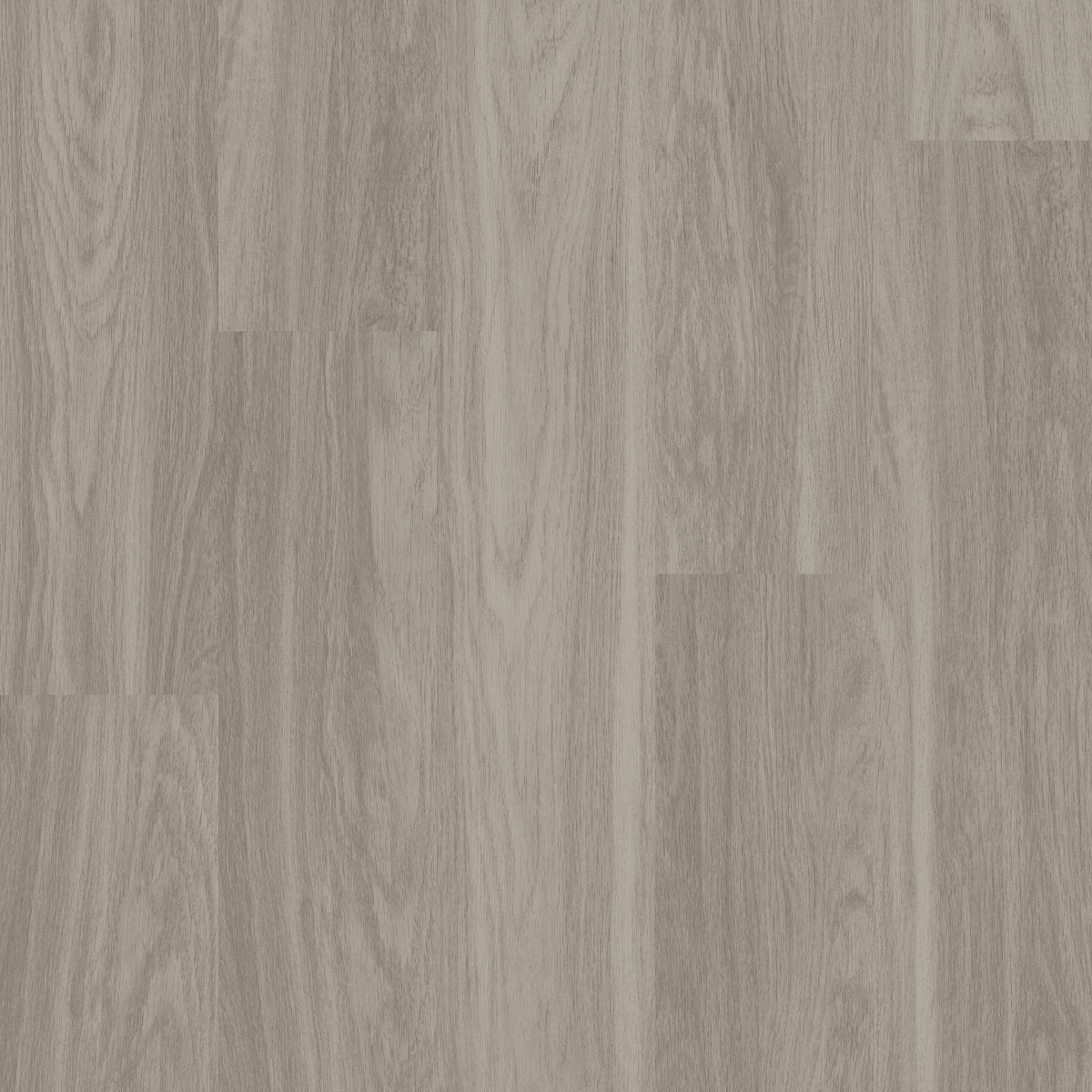 Indwell 20 Shadow 00520