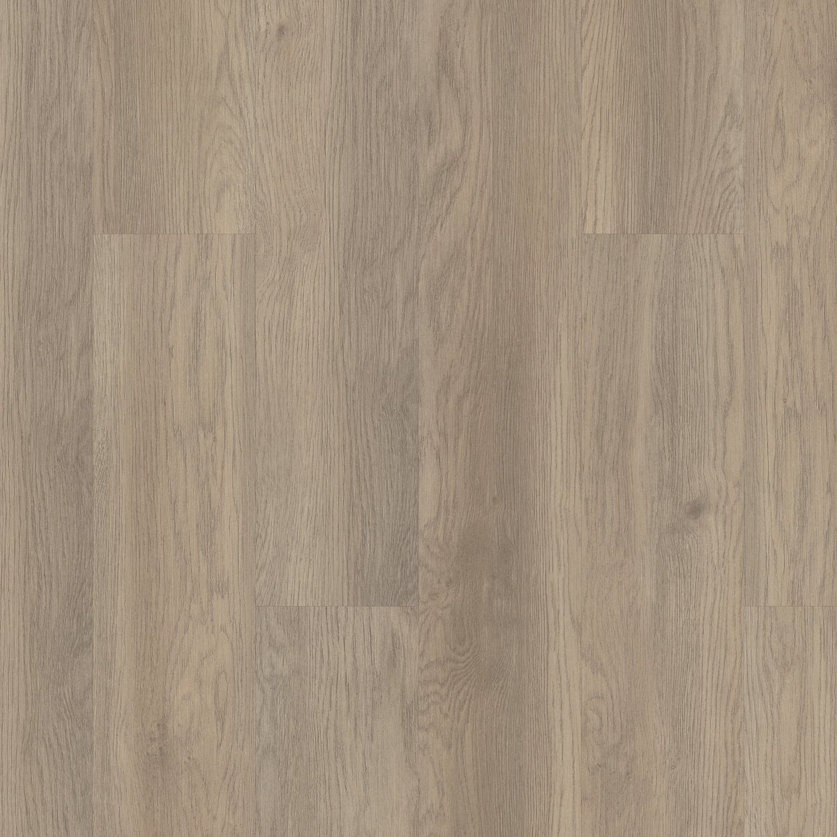 Indwell 20 Willow Oak 02028
