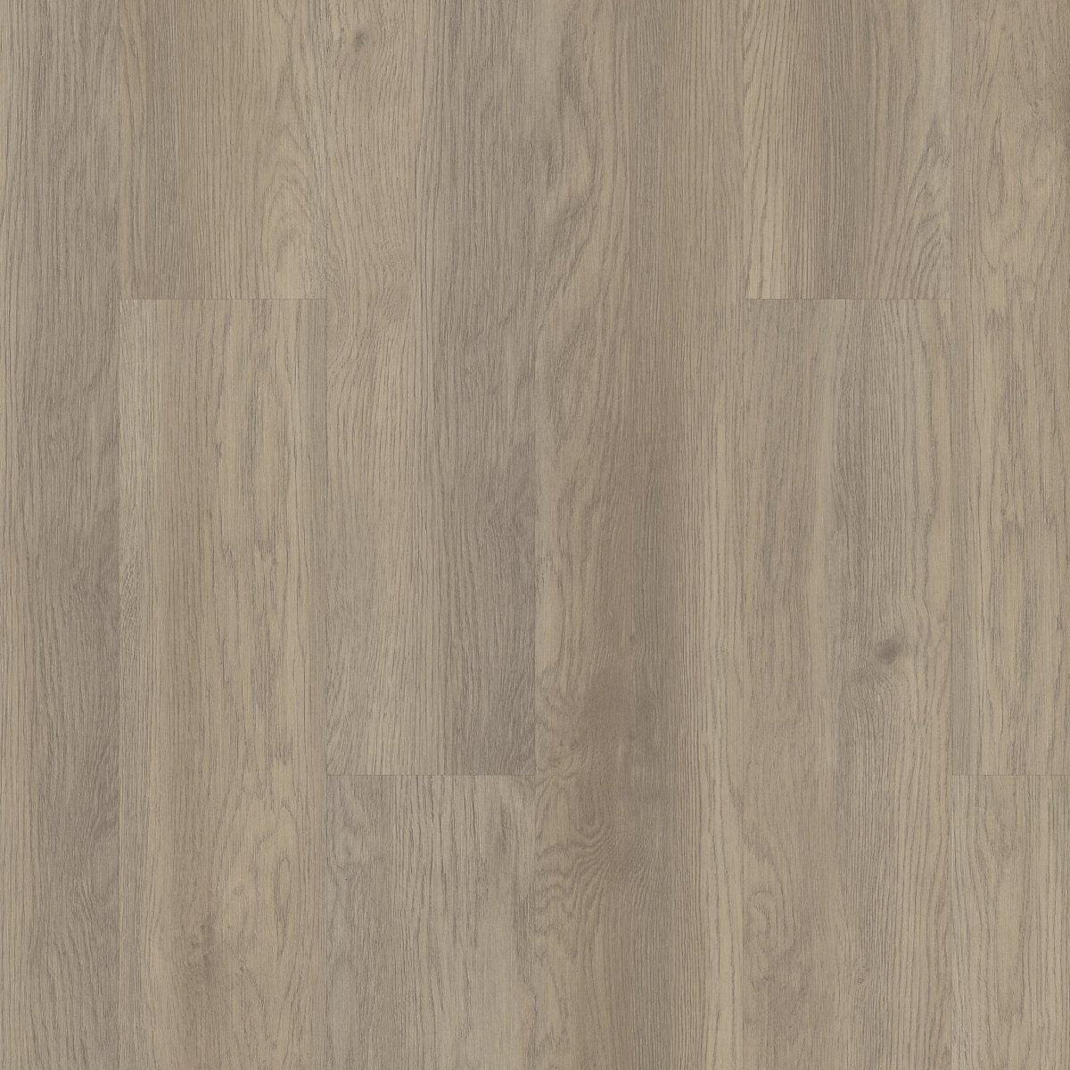 Indwell 8 Willow Oak 02028