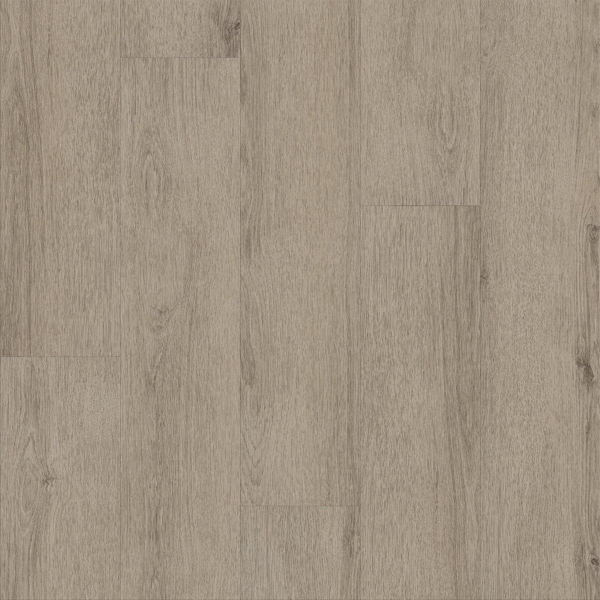 Indwell II 20 Mushroom Grey 05223