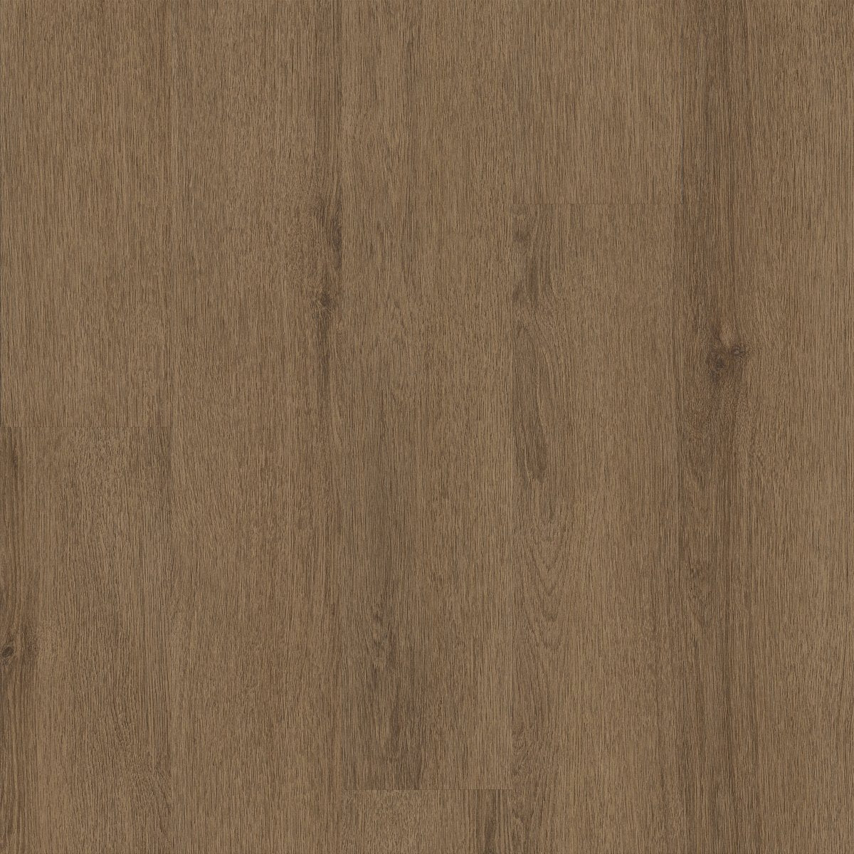 Indwell II Acoustical Pad Sepia Brown 07313