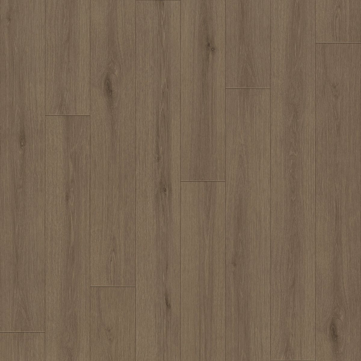 Indwell II Sheet Autumn Brown 07314