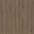 Indwell II Sheet Autumn Brown 07314