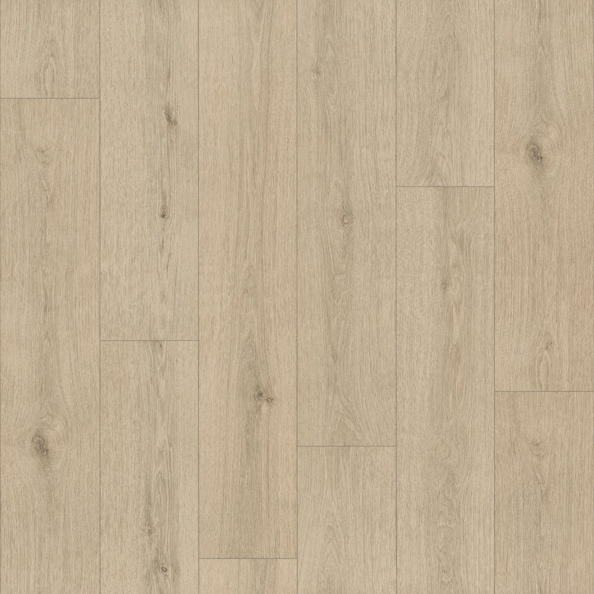 Indwell II Sheet Flaxen 02097