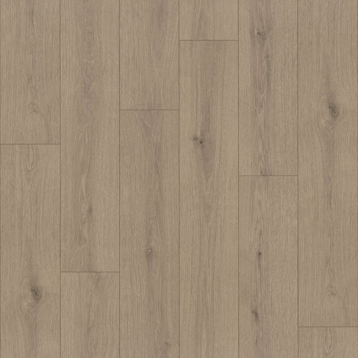 Indwell II Sheet Hazelwood 07312