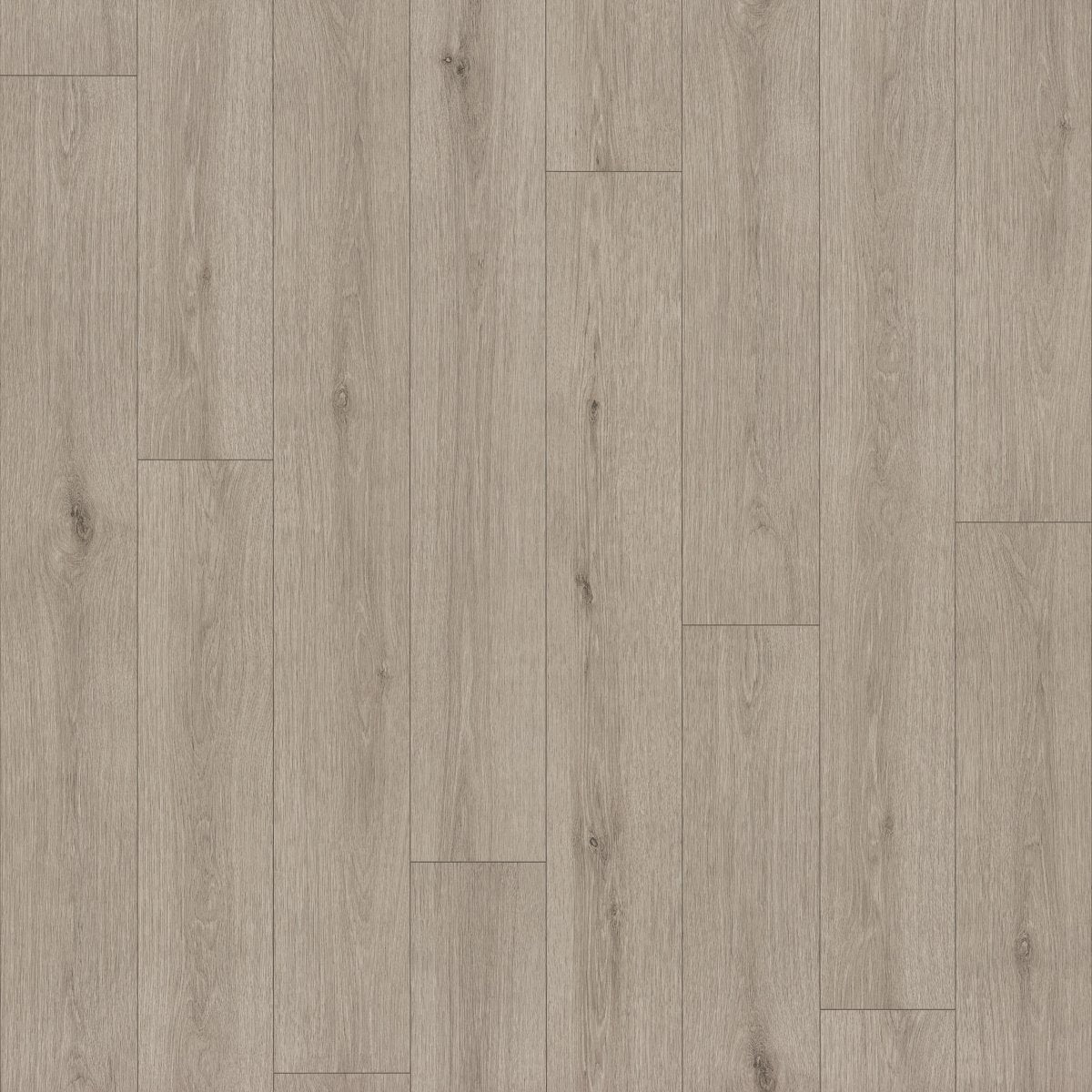 Indwell II Sheet Mushroom Grey 05223
