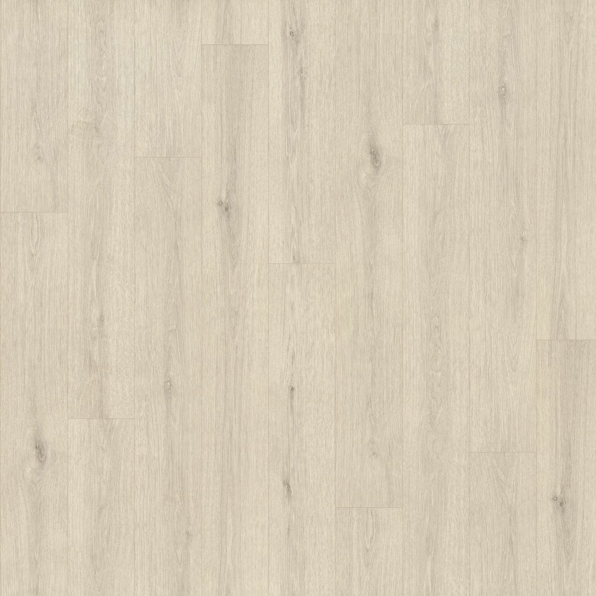 Indwell II Sheet Parchment 01181