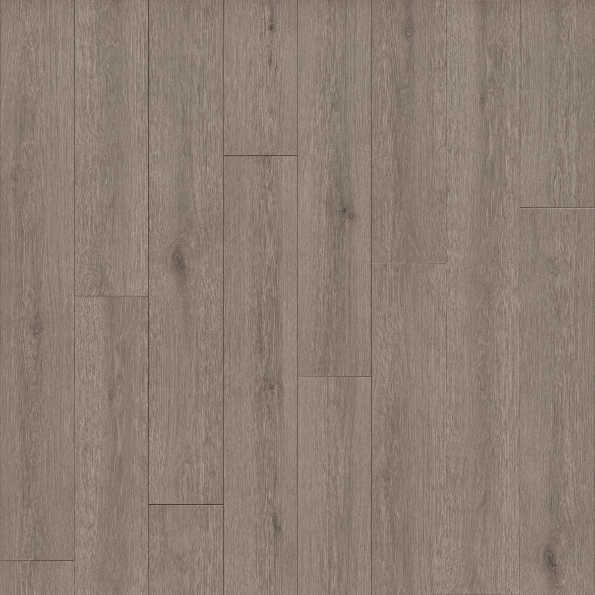 Indwell II Sheet Pebble Grey 05225