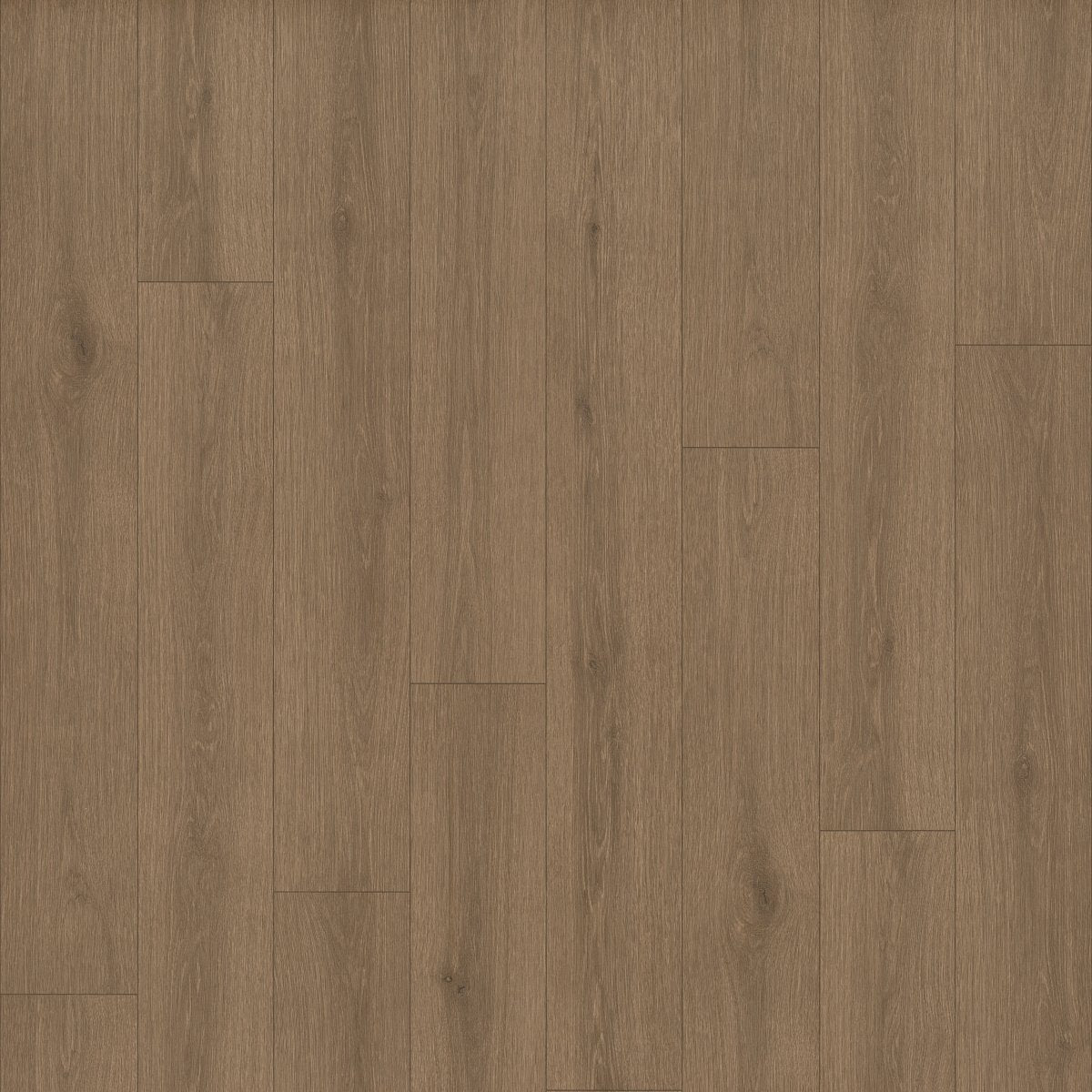 Indwell II Sheet Sepia Brown 07313