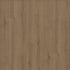 Indwell II Sheet Sepia Brown 07313