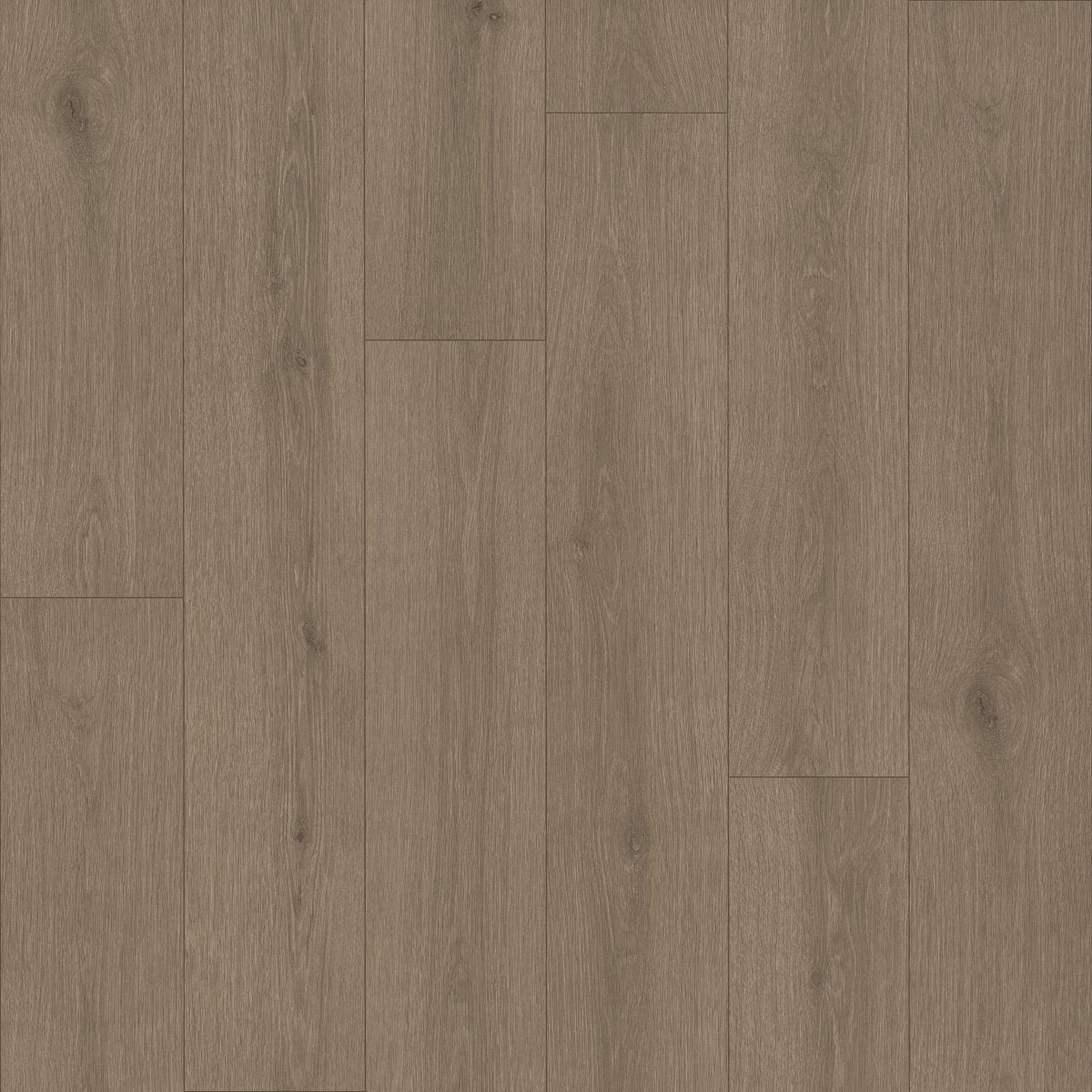 Indwell II Sheet Smoky Taupe 07315