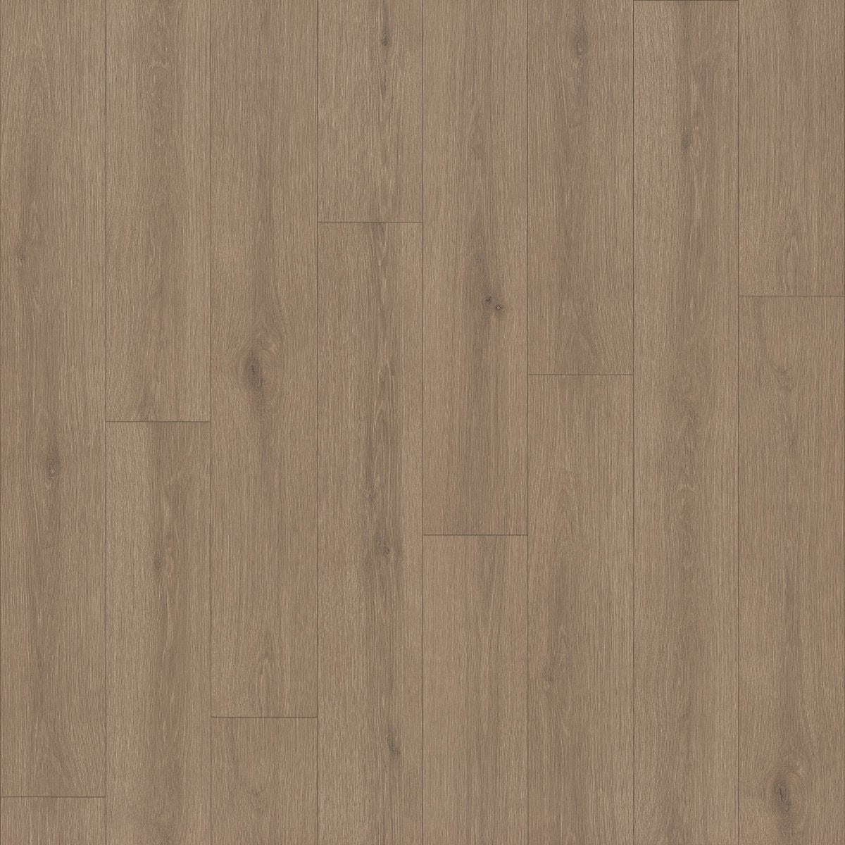 Indwell II Sheet Toffee Brown 07311