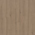 Indwell II Sheet Toffee Brown 07311