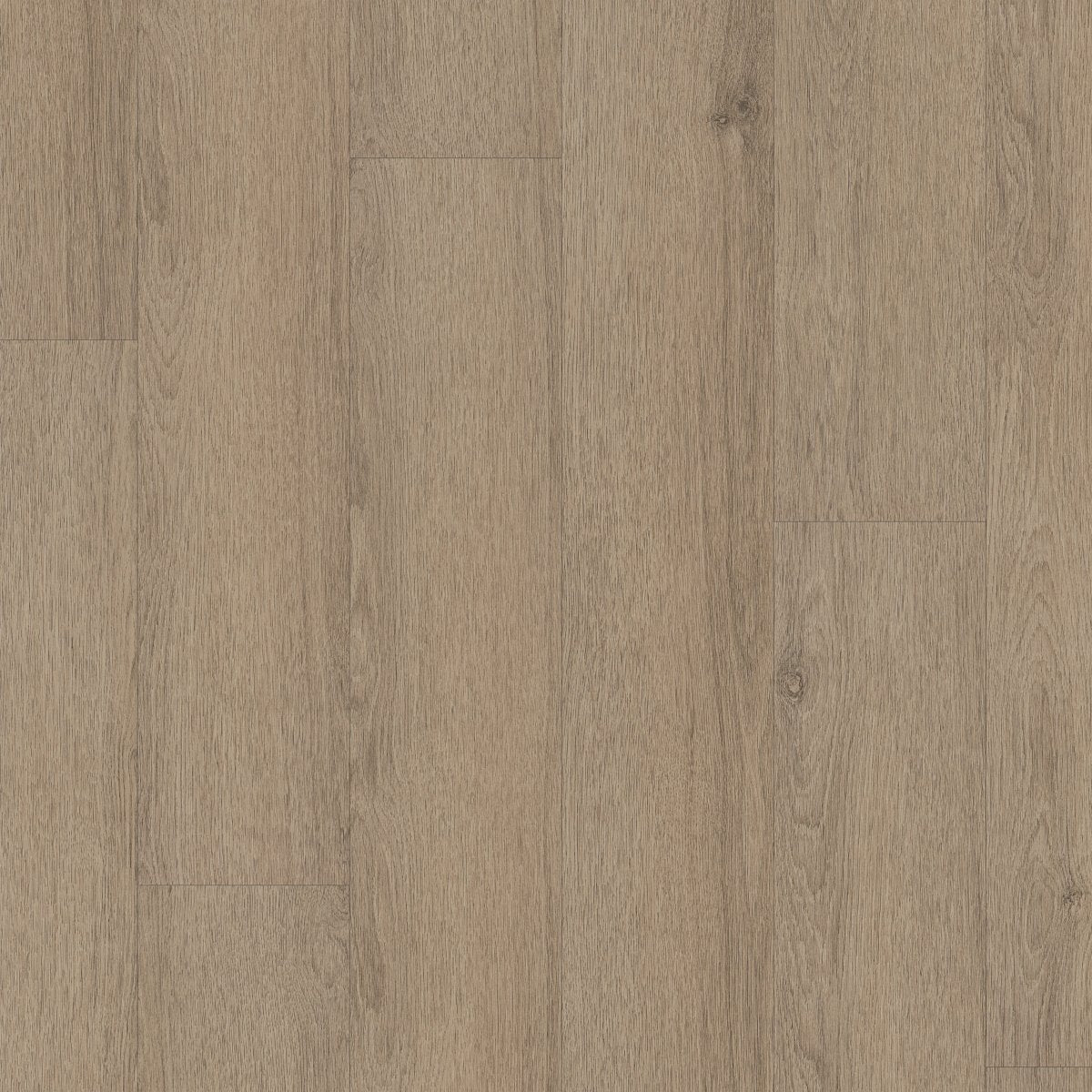 Indwell II SPC Hazelwood 07312