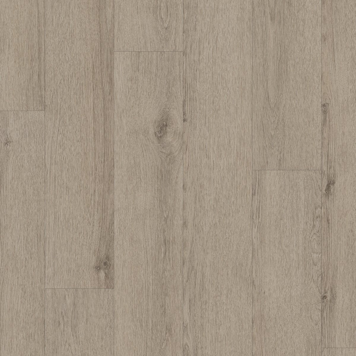 Indwell II SPC Mushroom Grey 05223