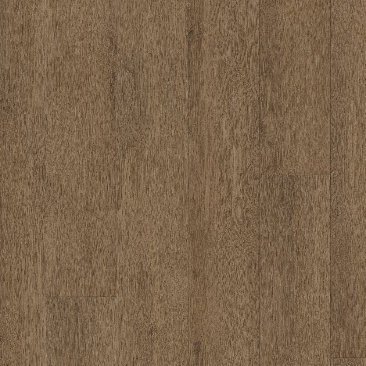 Indwell II SPC Sepia Brown 07313