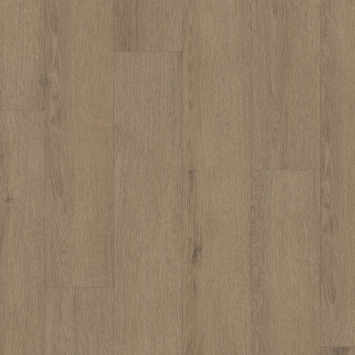 Indwell II SPC Toffee Brown 07311