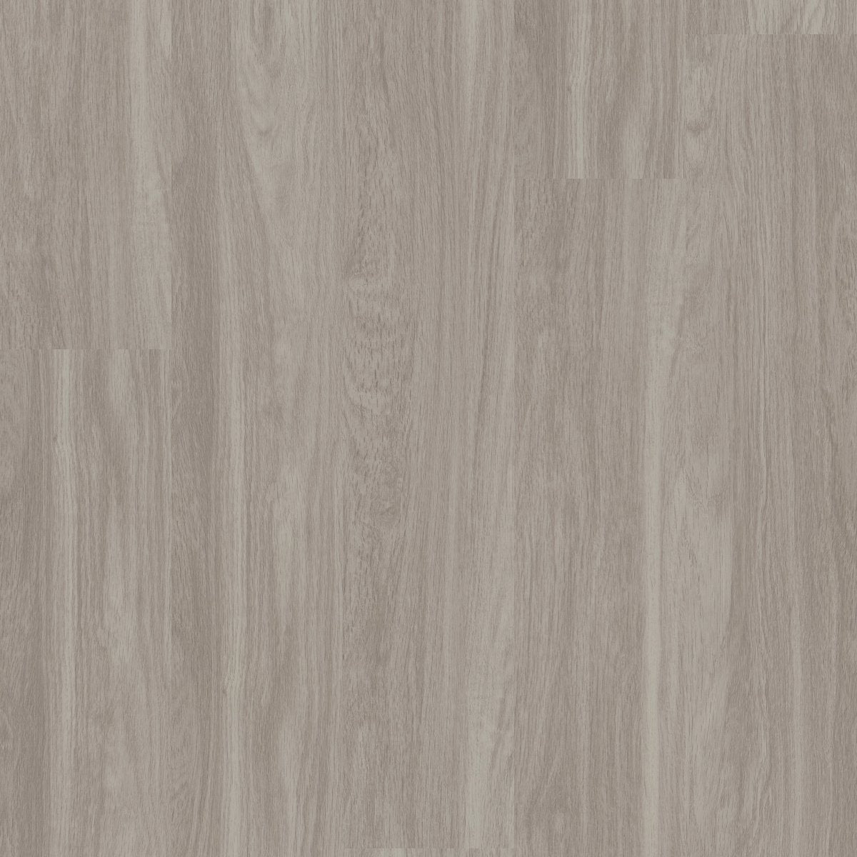 Indwell SPC Shadow 00520