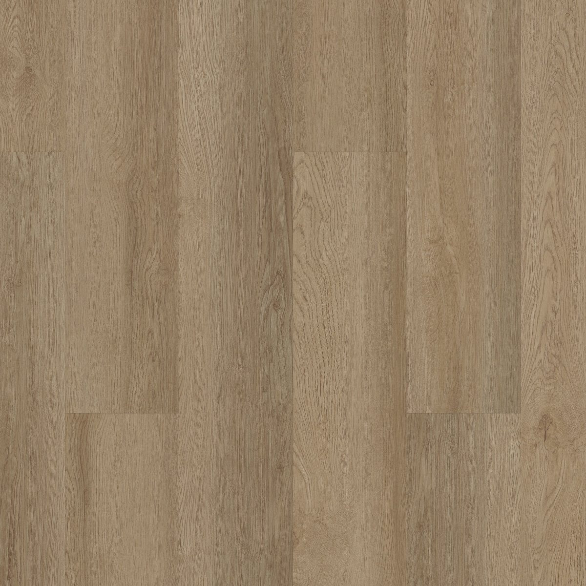 Indwell SPC SS Ohlone Oak 02027