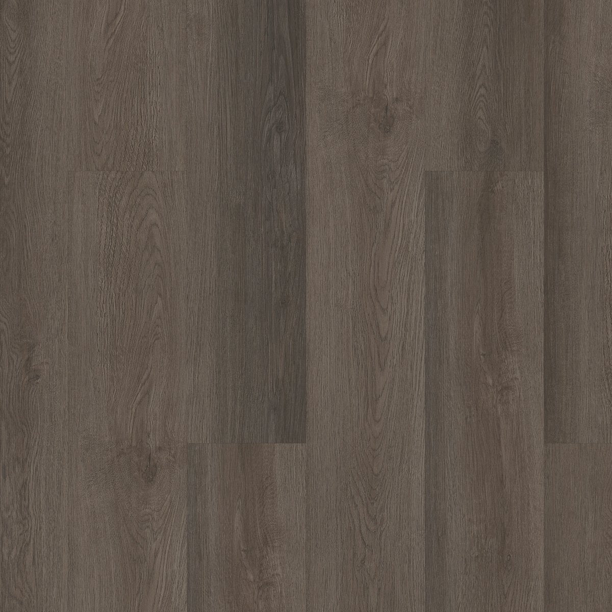 Indwell SPC SS Seneca Oak 07100