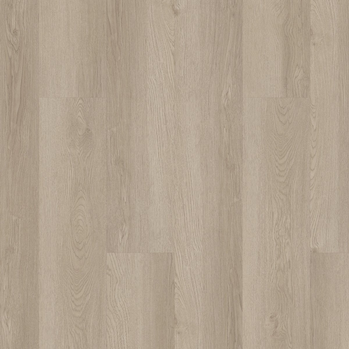 Indwell SPC SS South Bay 02029