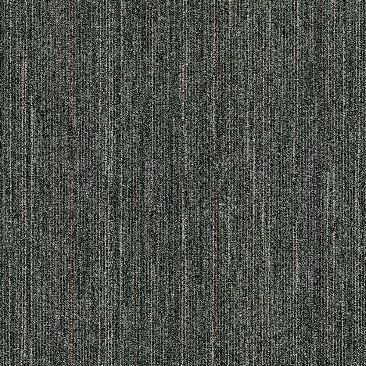 Intellect Sharp 45515