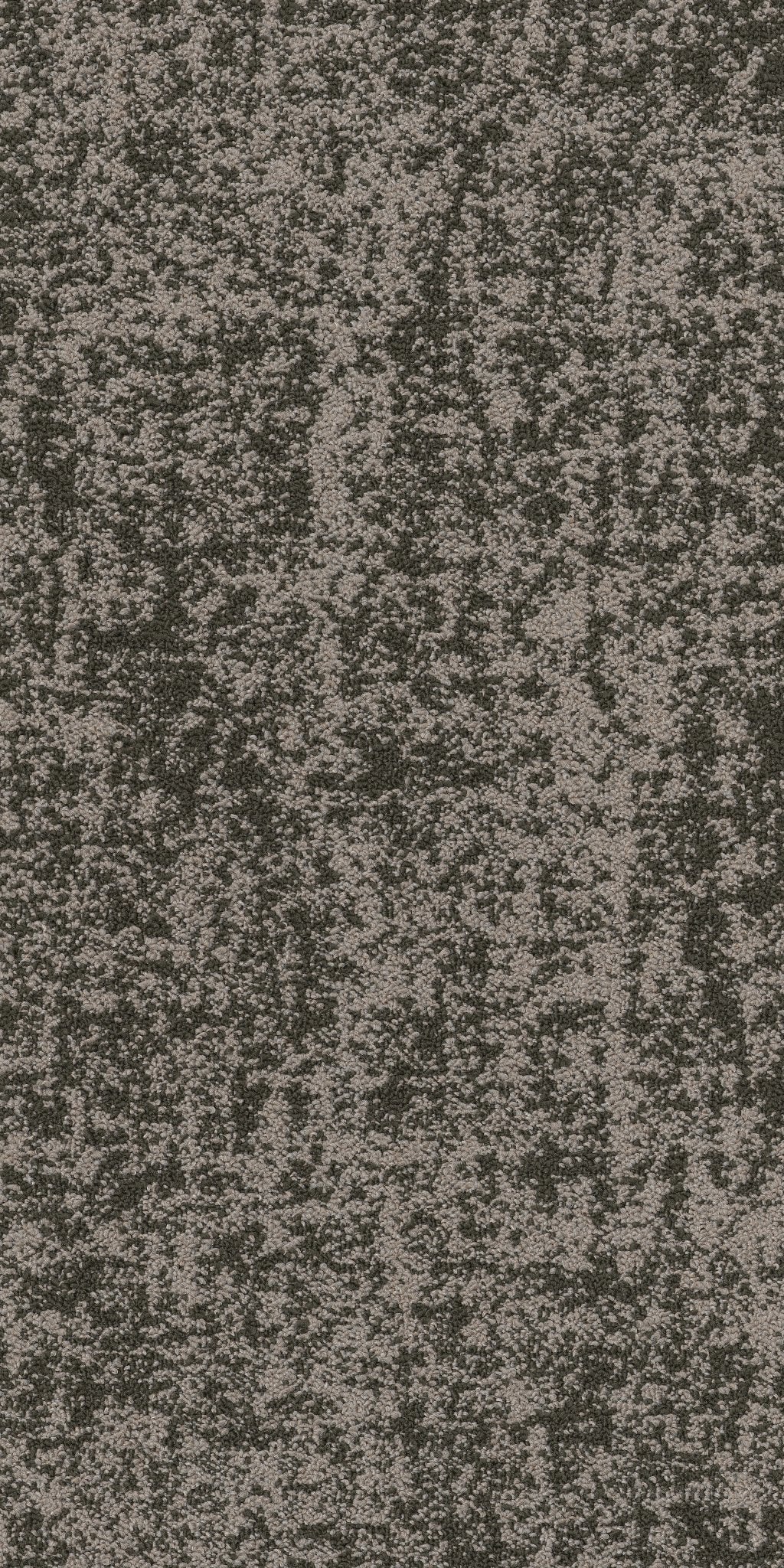 Intermingle Craze 00312