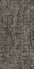 Intermingle Craze 00312