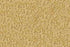 06625 Mohave J Mish Broadloom Wool Carpet – Legends 12 ft wide - GreenFlooringSupply.com