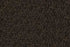 06800 Cocoa J Mish Broadloom Wool Carpet – Legends 12 ft wide - GreenFlooringSupply.com
