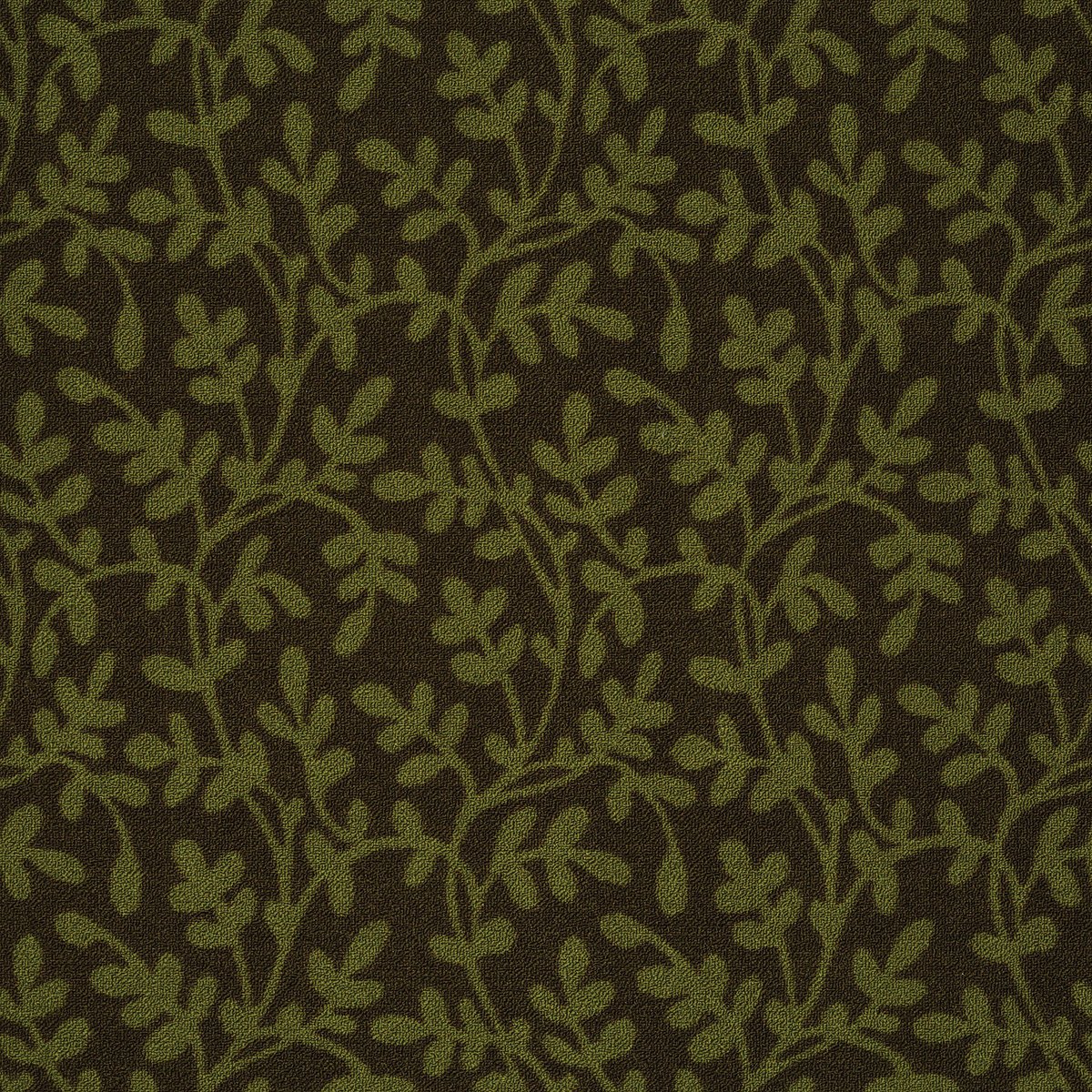 Lowland Cascadilla 32310