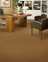 Legend Falls Dakota broadloom carpet in an executive office