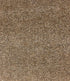 Cashew Whitfield Natural Textiles Broadloom Wool Carpet – Pure Nature Mystique 12 ft wide - GreenFlooringSupply.com