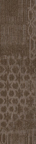 Medley Accord 00705